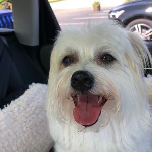 Meet your Posher, Jonathan